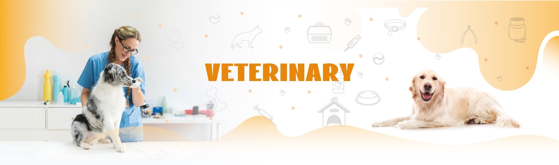 qualità Corredo rapido veterinario della prova Servizio